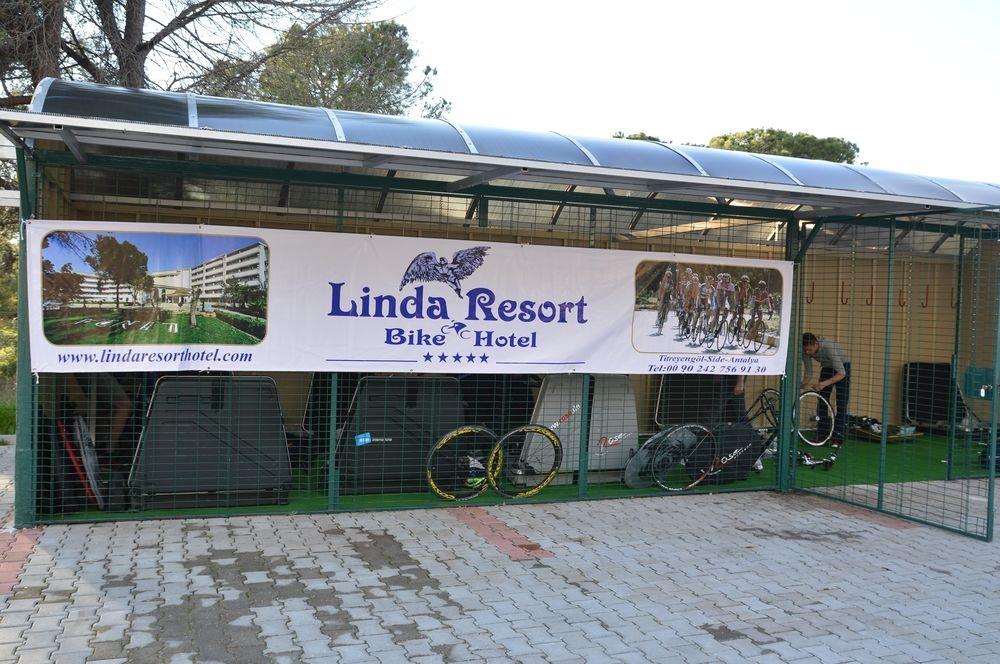 Linda Side